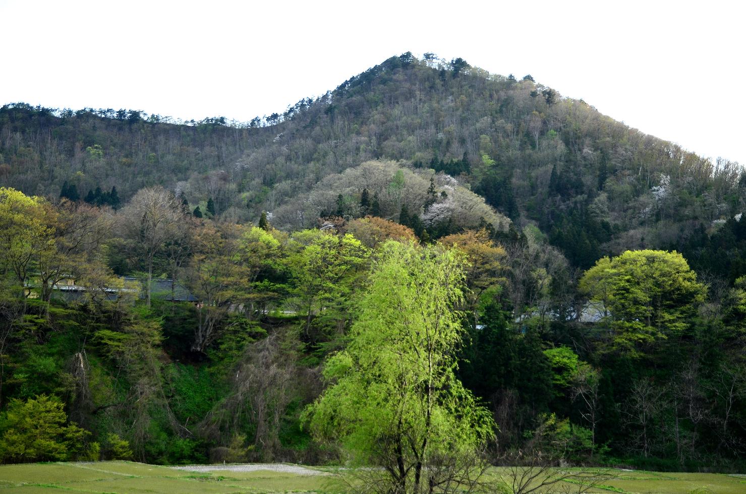 松倉山
